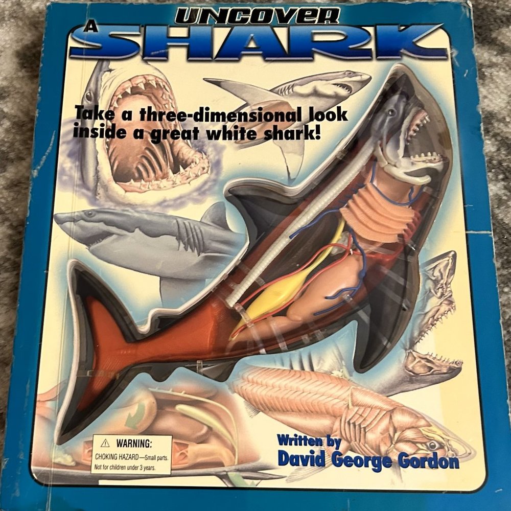 Scholastic Uncover Shark Book -Three-Dimensional Hands-on Model